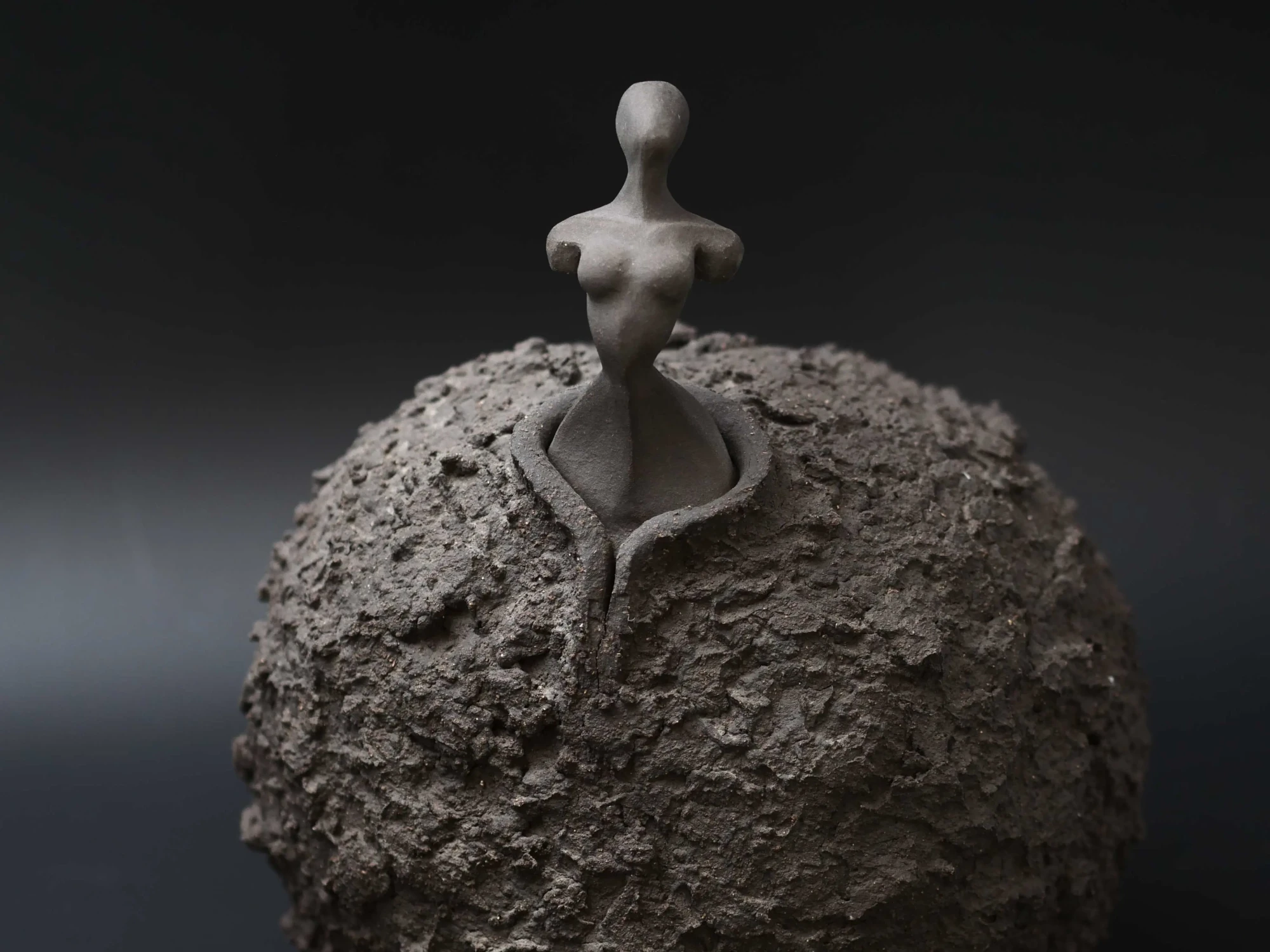 Chryslide noir, sculpture Michaël Ezanno